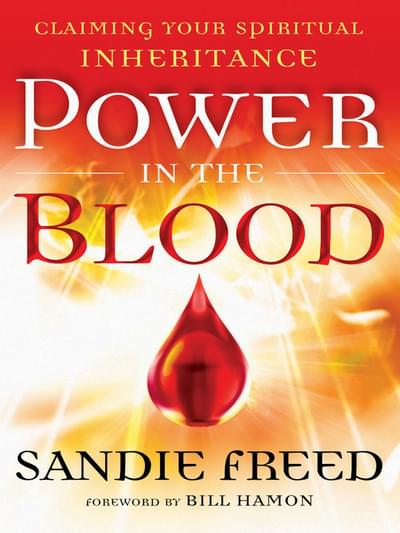 Power in the Blood book